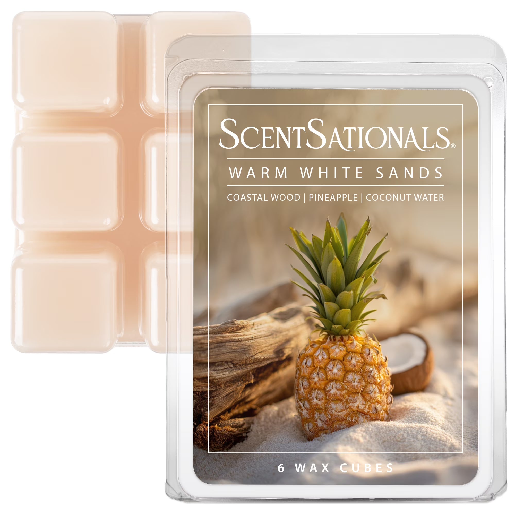 Ceramic Wax Melt Warmer + 3 ScentSationals Wax Melts Gift Set